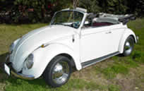 vw-beetle photo