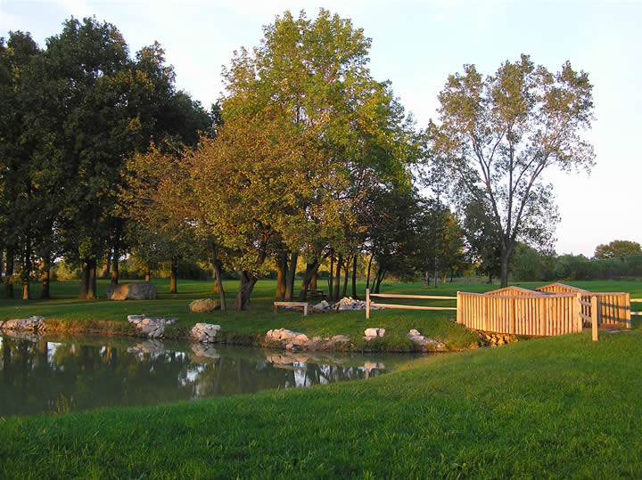 Park Fish Pond